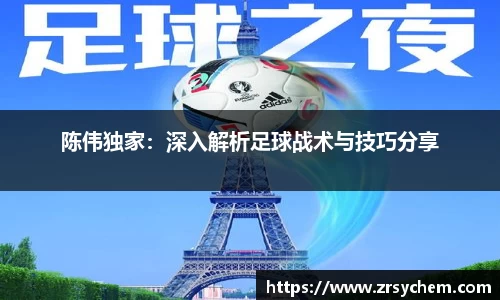 陈伟独家：深入解析足球战术与技巧分享